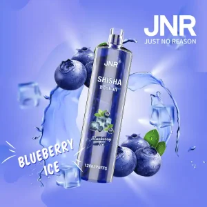 JNR Shisha Hookah – Blueberry Mint 12,000