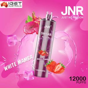 JNR Shisha Hookah – White Mamba 12,000