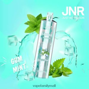 JNR Shisha Hookah 12000 Gum Mint