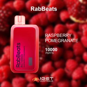RABBEATS BAR RASPBERRY POMEGRANATE – 10,000 PUFFS