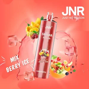 JNR Shisha Hookah – Mix Berry Ice 12,000